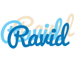 Ravid breeze logo