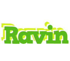 Ravin picnic logo