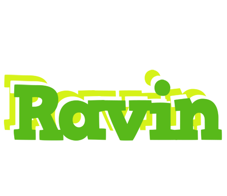 Ravin picnic logo