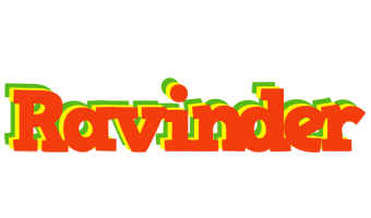 Ravinder bbq logo