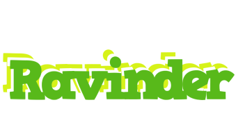 Ravinder picnic logo