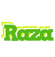 Raza picnic logo