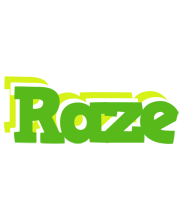 Raze picnic logo