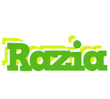 Razia picnic logo