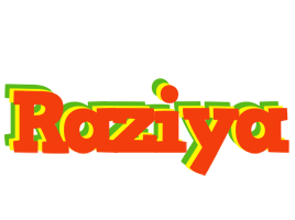 Raziya bbq logo