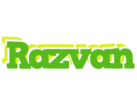 Razvan picnic logo