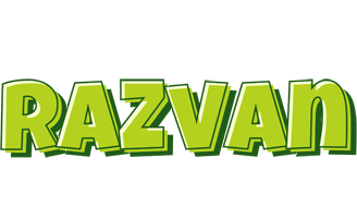 Razvan summer logo