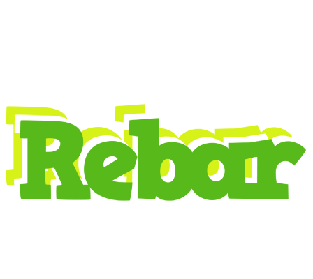 Rebar picnic logo