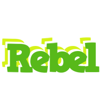 Rebel picnic logo