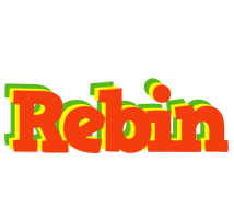 Rebin bbq logo