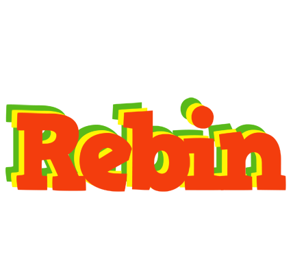 Rebin bbq logo