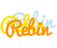 Rebin energy logo