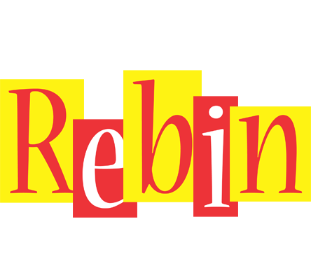 Rebin errors logo