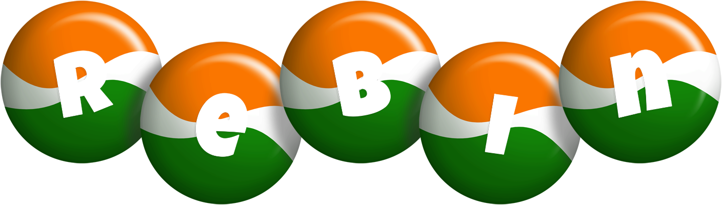 Rebin india logo