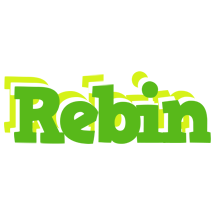 Rebin picnic logo