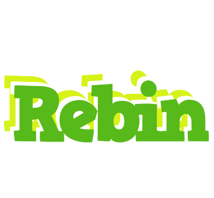 Rebin picnic logo