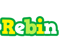 Rebin soccer logo