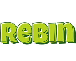 Rebin summer logo