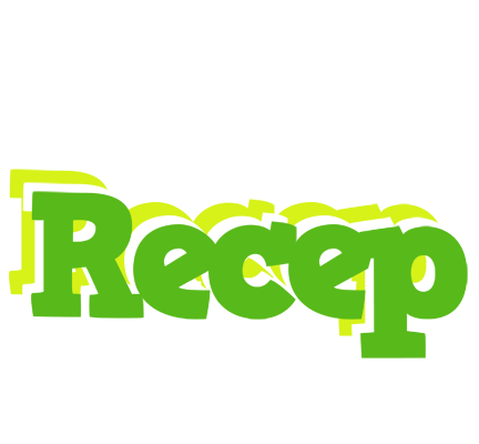 Recep picnic logo
