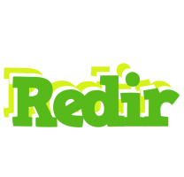 Redir picnic logo