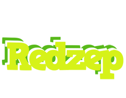 Redzep citrus logo