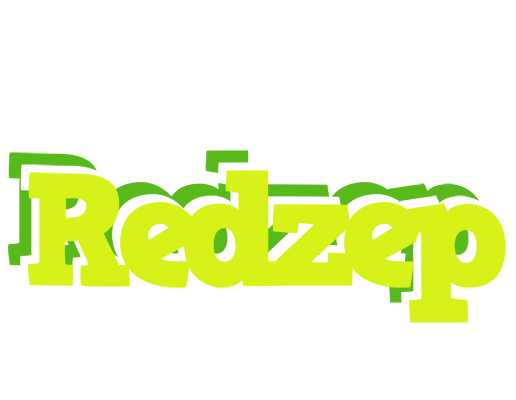 Redzep citrus logo