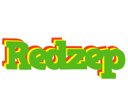 Redzep crocodile logo