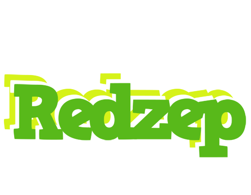 Redzep picnic logo