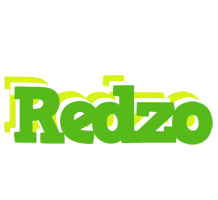 Redzo picnic logo