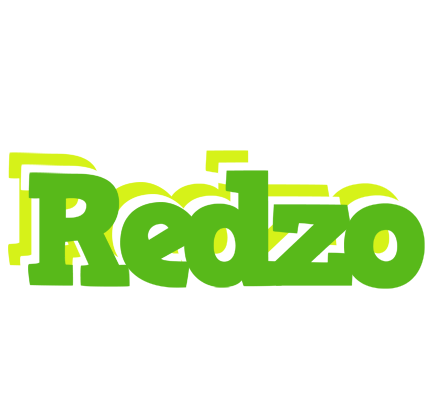 Redzo picnic logo