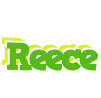 Reece picnic logo