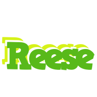 Reese picnic logo