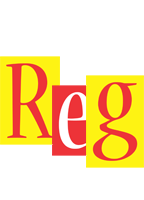 Reg errors logo