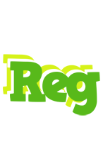 Reg picnic logo