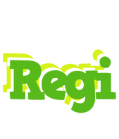 Regi picnic logo