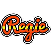 Regie madrid logo