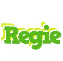 Regie picnic logo