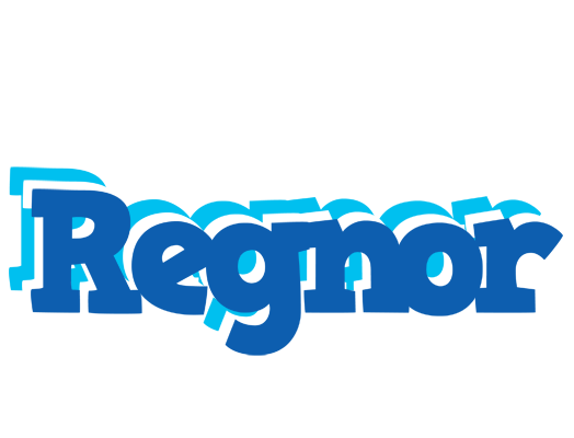 Regnor business logo