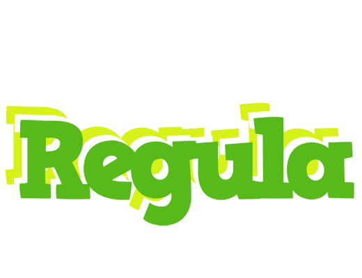Regula picnic logo