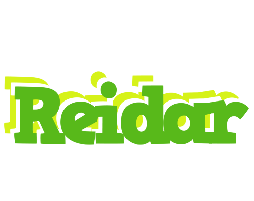 Reidar picnic logo