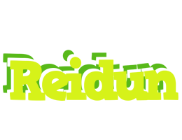 Reidun citrus logo