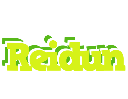 Reidun citrus logo
