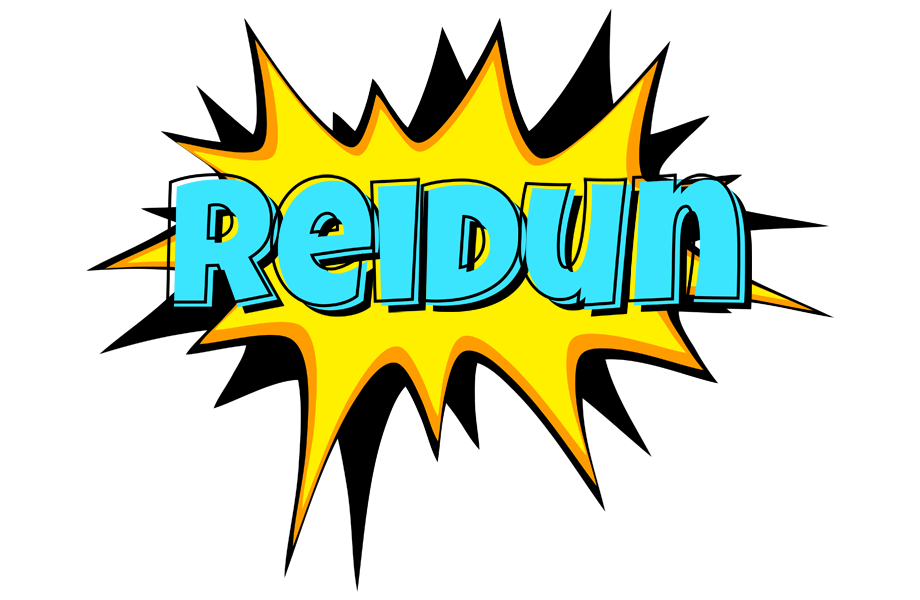 Reidun indycar logo