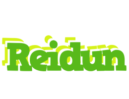 Reidun picnic logo