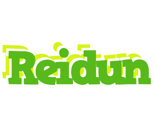 Reidun picnic logo