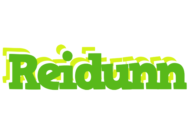 Reidunn picnic logo