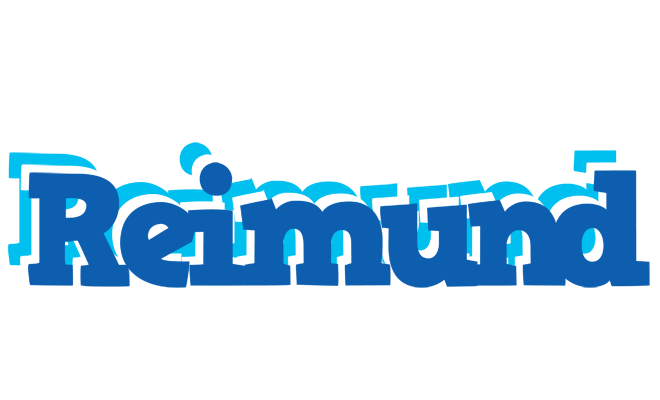 Reimund business logo