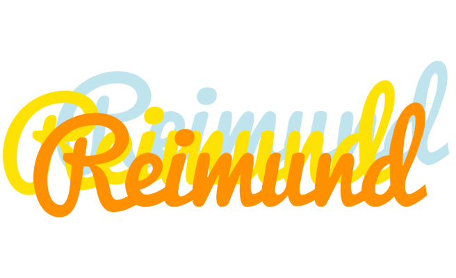 Reimund energy logo