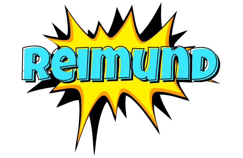 Reimund indycar logo