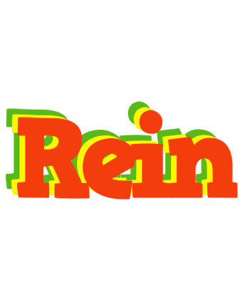 Rein bbq logo